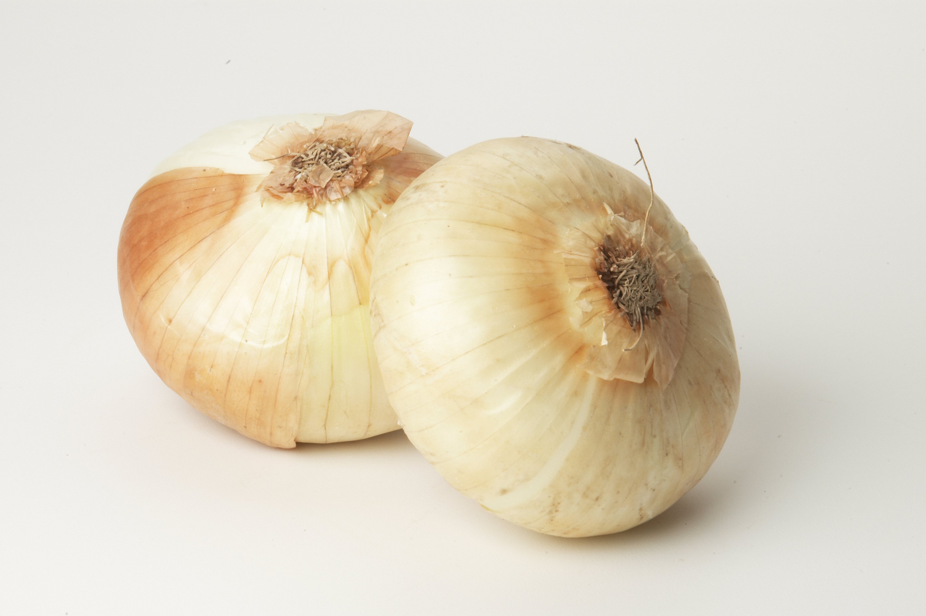 Onion Vidalia
